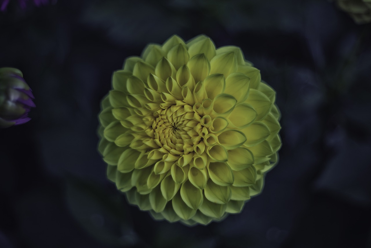 忆挽青笙尽 第17页